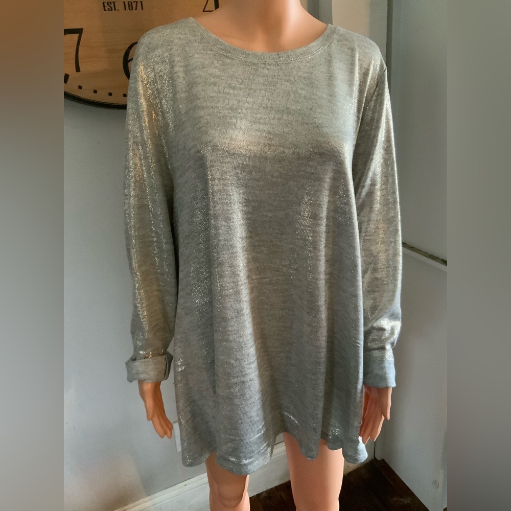 Silver Long Sleeve Women's Top 18/20